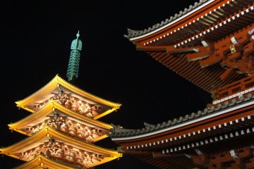 Go-jyuu-no-tou, the five story pagoda on&nbsp;31st December, New Year's Eve. The illumination continues well into the morning of the new year, with no let up in the crowds&nbsp;on the next day.