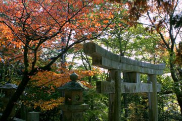 Visited, maintained, built, and worshipped over centuries, ancient temples such as Yakuri offer us glimpses through the eyes of those from past generations. Viewed from different angles throughout the seasons, true artistic beauty can be found.