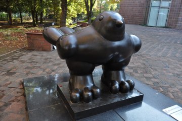 <p>This fat friend is good for a clamber</p>