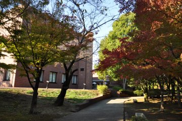 <p>Strolling paths outside the museum</p>