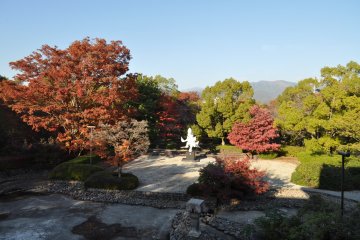 <p>Fall colors on the museum grounds</p>