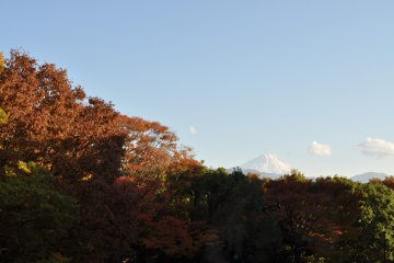 <p>Mt. Fuji as seen from the museum</p>