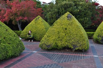 <p>Blending in with the scenery</p>