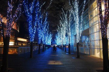 Blue Lights Symphony