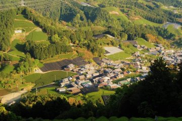 Wazuka town is in a valley nestled by stunningly green mountains, just a day trip from Kyoto