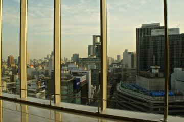 <p>High glass 'walls' of the Sky Lobby give a good view of the city.</p>