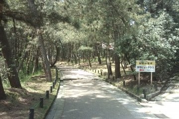 On the national holiday in May, Japanese national flags are displayed in the woods. At the end of the woods there is a resting place called, 'Ataka View Terrace'