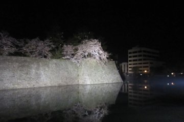 Air di parit ini bagaikan cermin dari kecantikan sakura