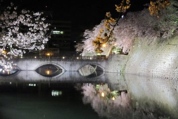Kombinasi dari jembatan dan sakura yang menyala