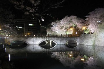 Pantulan dari jembatan utama dan pohon sakura di permukaan air.