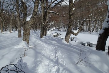 <p>Following the trail of those who came before</p>