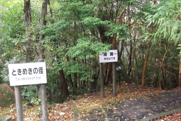 <p>The start of the trails</p>