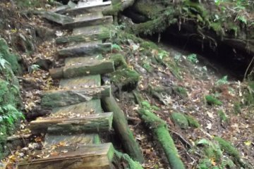 <p>Some of the steps on the longer routes</p>