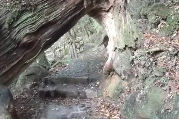 <p>Sometimes you've no choice but to duck under a natural arch</p>