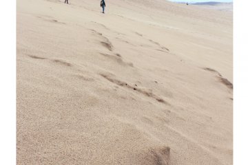The slopes of the Tottori sand dunes were quite steep&nbsp;