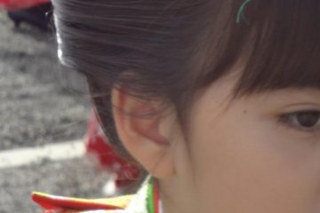 横滨伊勢山皇大神宮的和服物语