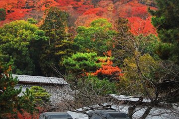 The rickshaw is a traditional vehicle in Arashiyama