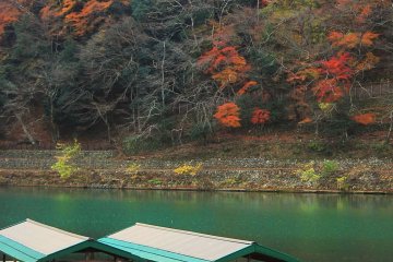 Boat park in Hozugawa river with&nbsp;emerald colors and autumn foliage