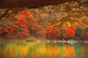 The autumn foliage and its reflection in Hozugawa river