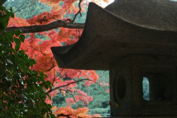 <p>These sights are not just for pilgrims, make sure to stop by this fall!</p>