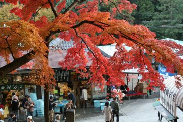 <p>Below the temple is a cute little collection of shops</p>