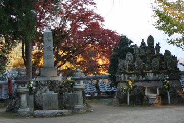 <p>It is hard to not take a good shop of Okubo-ji when the leaves are changing</p>