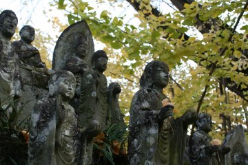 <p>The leaves fall, their short existed contrasted by the hard stone of the statues.</p>