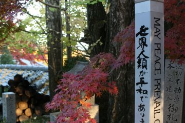 <p>May peace prevail on earth &nbsp;</p>