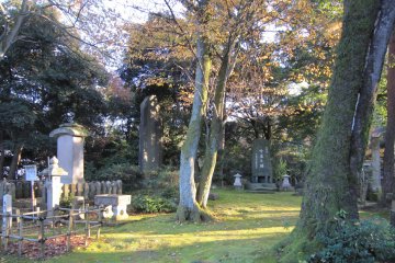 Inside the shrine grounds. Sunshine is filtering through foliage...beautiful