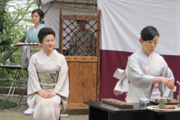 Fukui: Mt. Asuwa Tea Ceremony