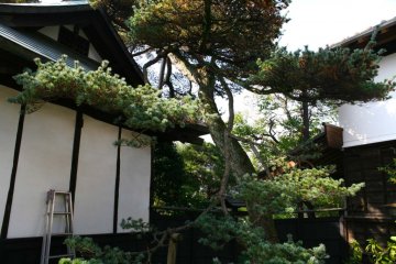 Ishikawa Brewery buildings