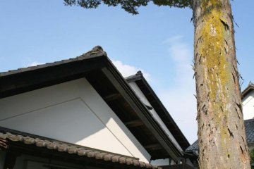 The Sake Cellar