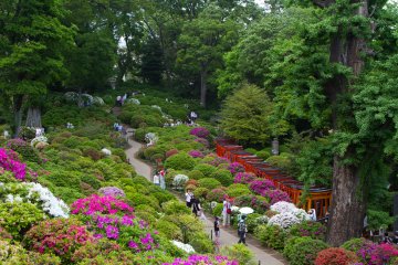 <p>The garden was created alongside and on a hill and there are several walking paths leading through, so you've always got a different view of the garden.</p>