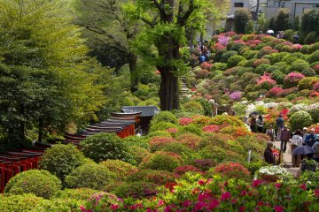 <p>This picture was taken from the opposite side. You decide which view you like best!</p>