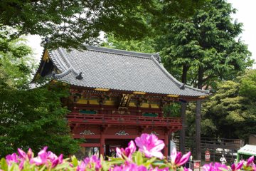 <p>The large gate before the main shrine building right after crossing the pond / stream. Although the pink azaleas in the foreground&nbsp;don't really match the colors&nbsp;of the gate, I think the view has&nbsp;got something.</p>
