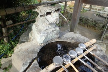 정화 분수