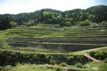 Ena Sakaori Tanada