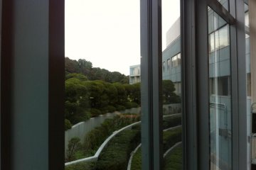 Beautiful grounds