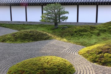 <p>Grass, trees, wall,&nbsp;sand, and light all interact with one another</p>