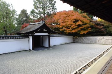 <p>And back to traditional Zen</p>