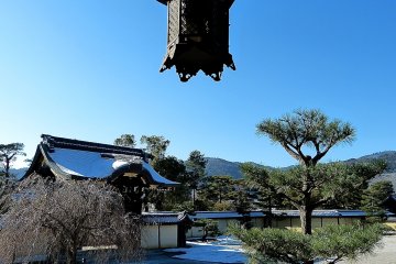 <p>Dry garden&nbsp;</p>