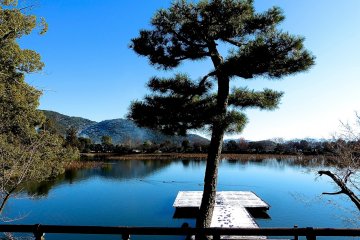 <p>Commanding view of Osawa-no-ike Pond from the wooden terrace</p>