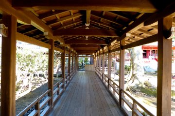 <p>Beautiful long corridor&nbsp;</p>