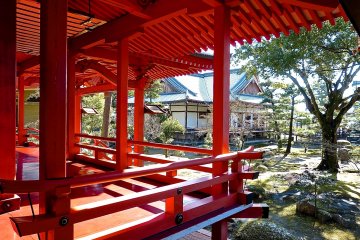 <p>Brilliant red temple building behind Shinden Hall</p>