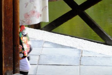 <p>A glimpse&nbsp;</p>
