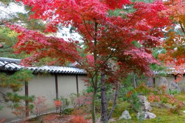 <p>Garden in the corner of the grounds</p>