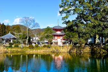 <p>Blue sky reflecting on the water's&nbsp;surface</p>