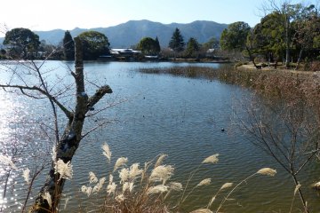 <p>The chilly air touching my cheeks was gentle and fresh</p>