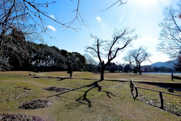 <p>Wide-open field on the north side of the pond</p>
