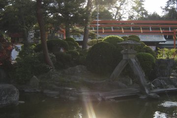 <p>Another view of the pond.</p>